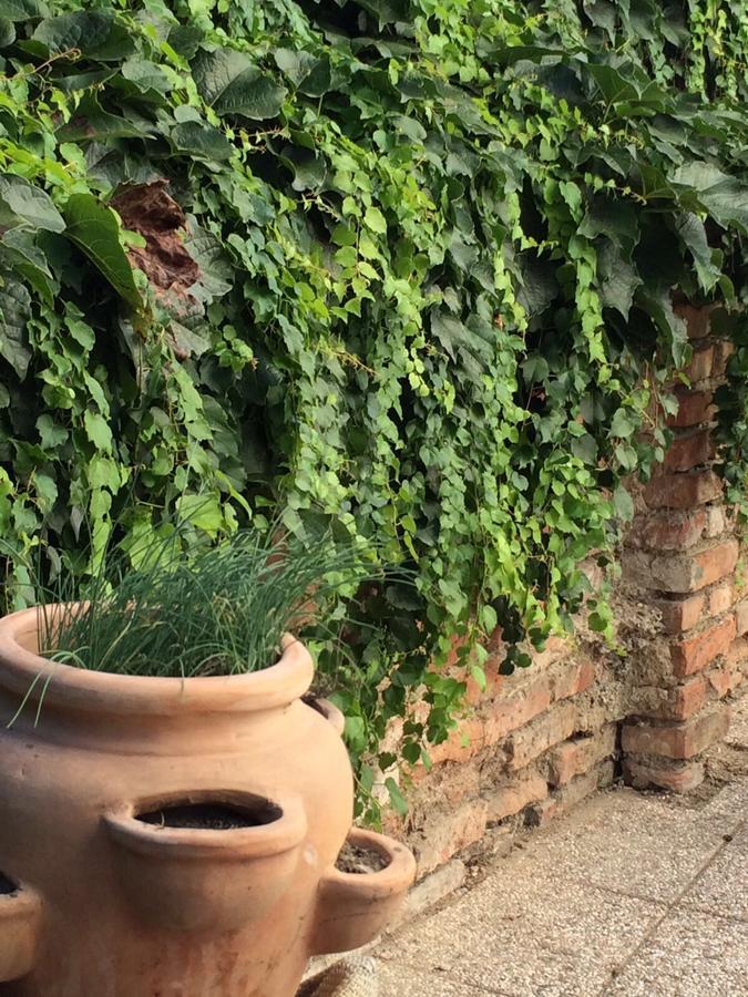 Residence Meljska マリボル エクステリア 写真