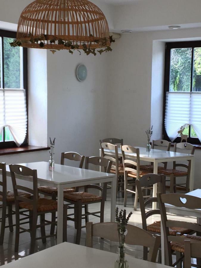 Residence Meljska マリボル エクステリア 写真
